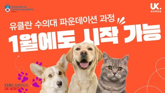  유클란 대학교 수의대 입학 파운데이션 – 9월 및 1월 시작 가능