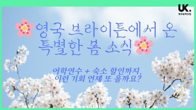 🌸 영국 브라이튼에서 온 특별한 봄 소식! 🌸 어학연수 + 숙소 할인까지, 이런 기회 언제 또 올까요?