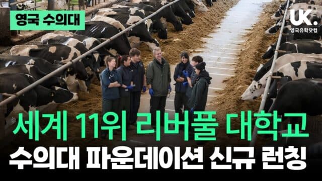  세계 11위! 리버풀 수의대도 이제 파운데이션으로 간다!