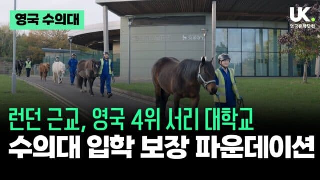수의대 입학 보장 실화? – 서리 대학교 수의대 입학 보장 파운데이션 개설