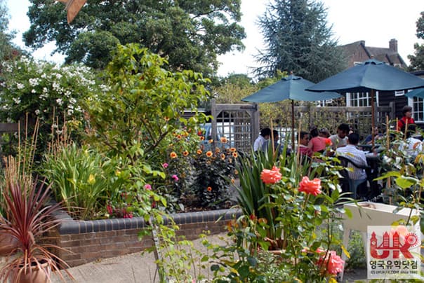 Oxford English Centre (OEC) 사진 8
