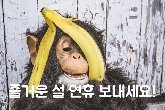 2016 설 연휴 2월 6일~10일 휴무 공지